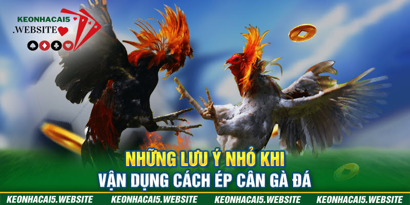 Lưu ý khi ép cân gà chọi