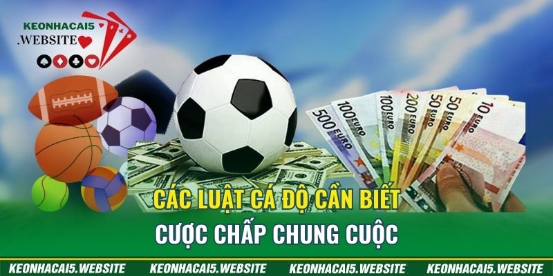 các luật cá độ cần biết