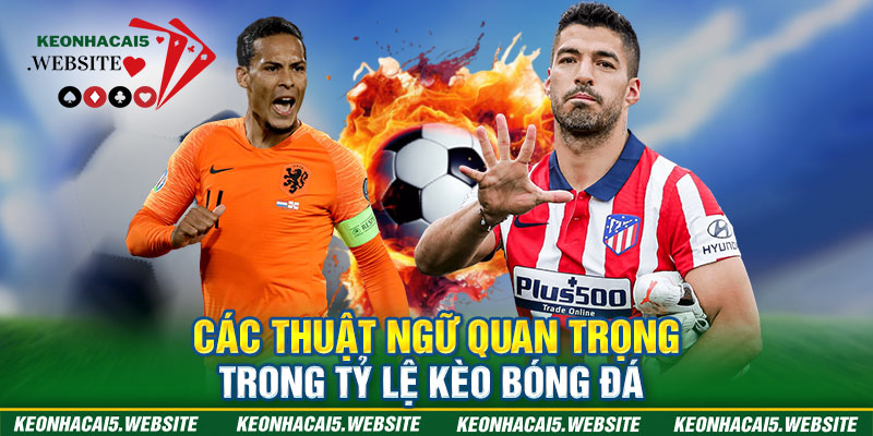 Các thuật ngữ quan trọng trong tỷ lệ kèo bóng đá 