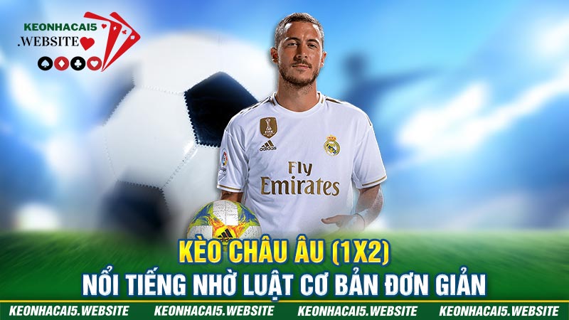 cách xem cá cược bóng đá