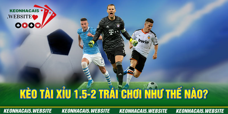 Keo nha cai tỷ lệ 1.5-2 trái