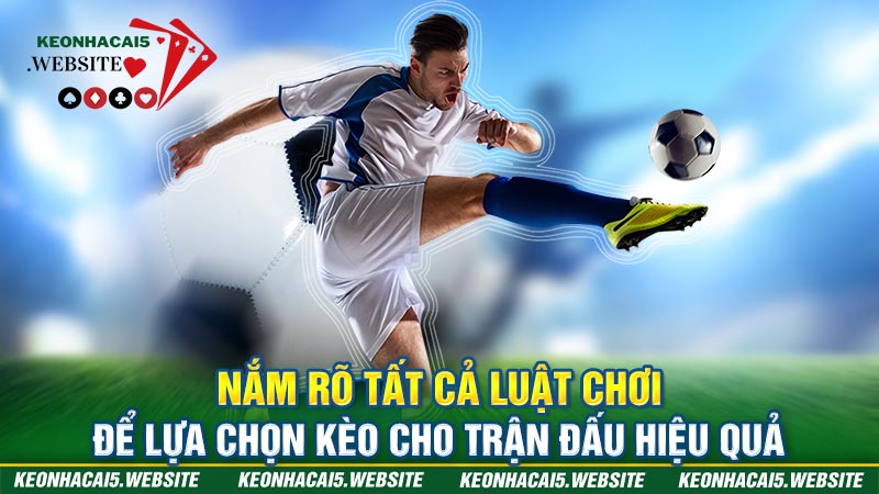 cách xem cá cược bóng đá