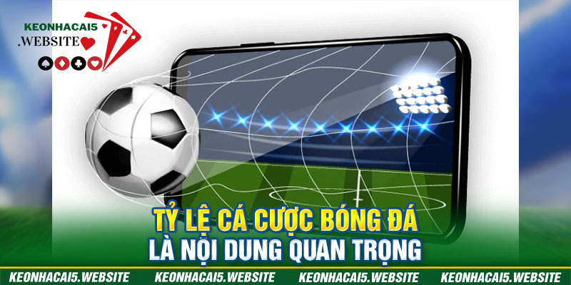 Tỷ lệ cá cược bóng đá là nội dung quan trọng 