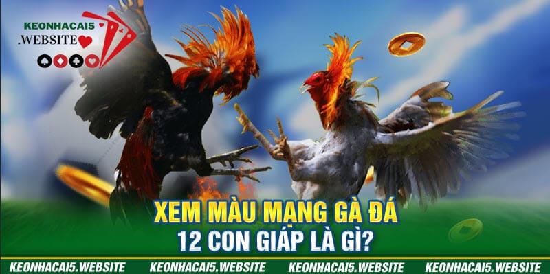 xem màu mạng gà đá 12 con giáp