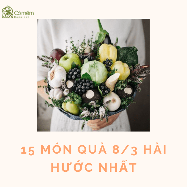 quà 8/3 hài hước nhất