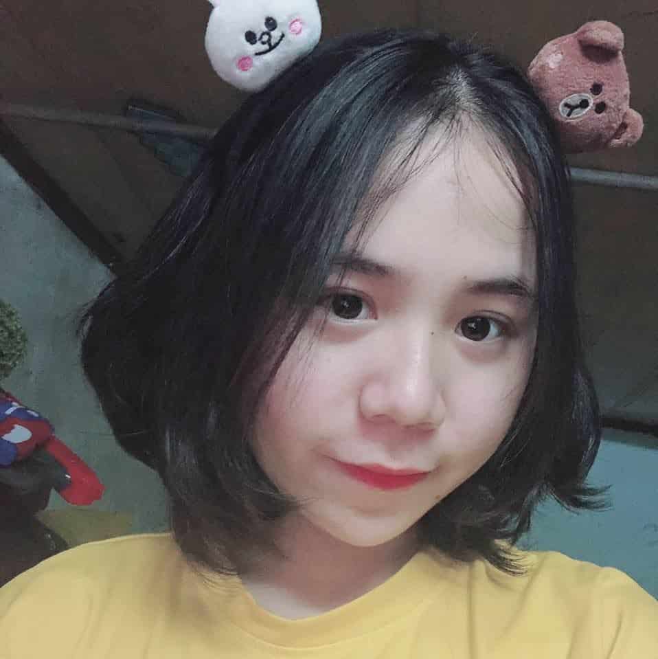 Hình ảnh mèo Simmy cute