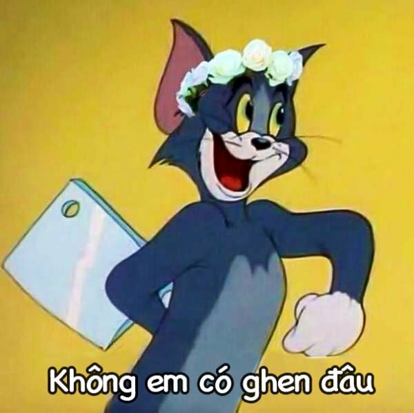 Ảnh meme mèo cầm dao hài