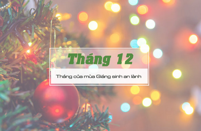 Anh chao thang 12