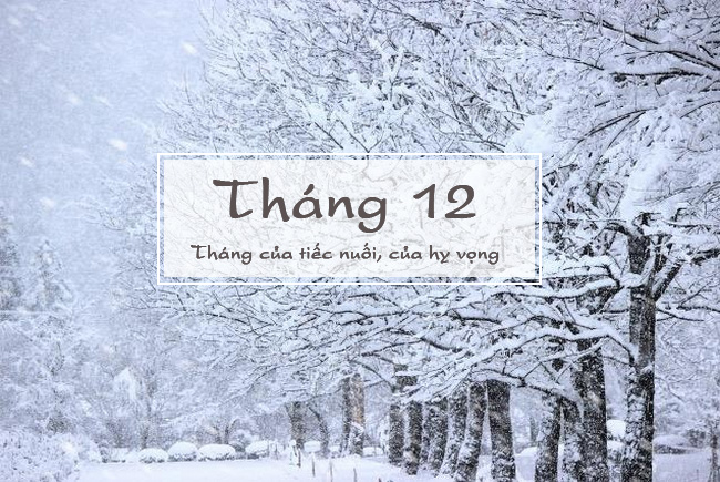 Hinh anh dep chao don thang 12