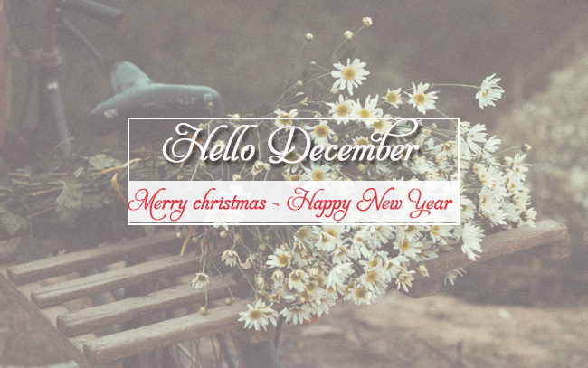 Hinh anh hello December