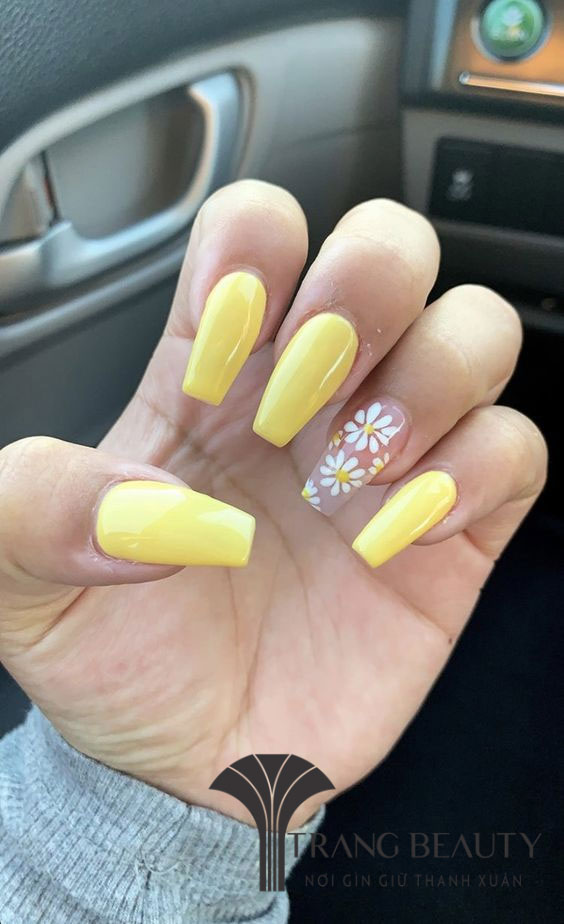 Mẫu nail cúc họa mi dịu dàng, nghệ thuật