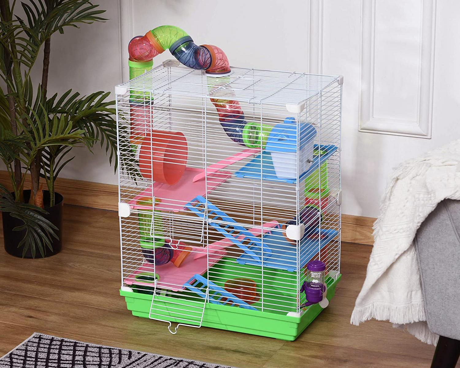 Chuột Hamster - Phân loại, giá bán và cách chăm sóc chuột đẹp khỏe mạnh - 7