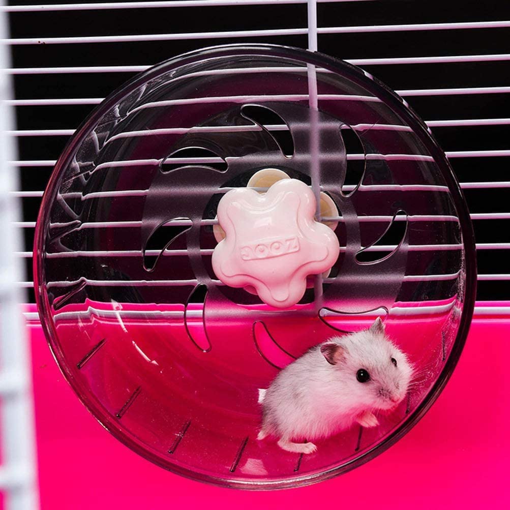 Chuột Hamster - Phân loại, giá bán và cách chăm sóc chuột đẹp khỏe mạnh - 19