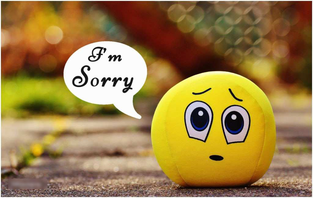 Hình ảnh mặt cười sorry