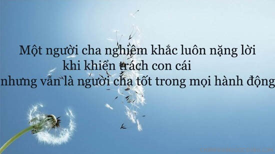 Hình ảnh cha mẹ