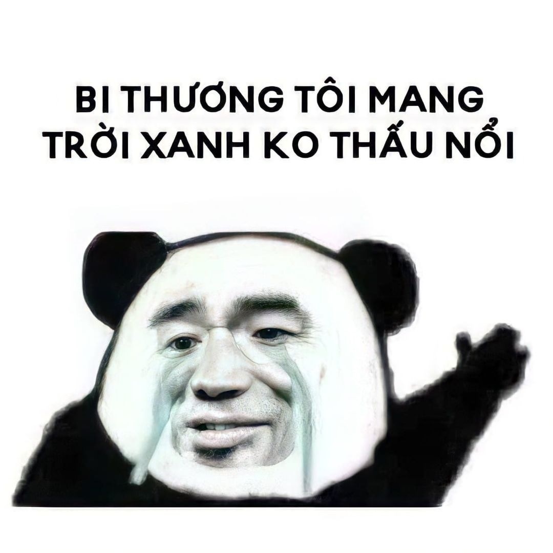 888+ meme gấu trúc bựa weibo cute, biểu cảm hài hước nhất