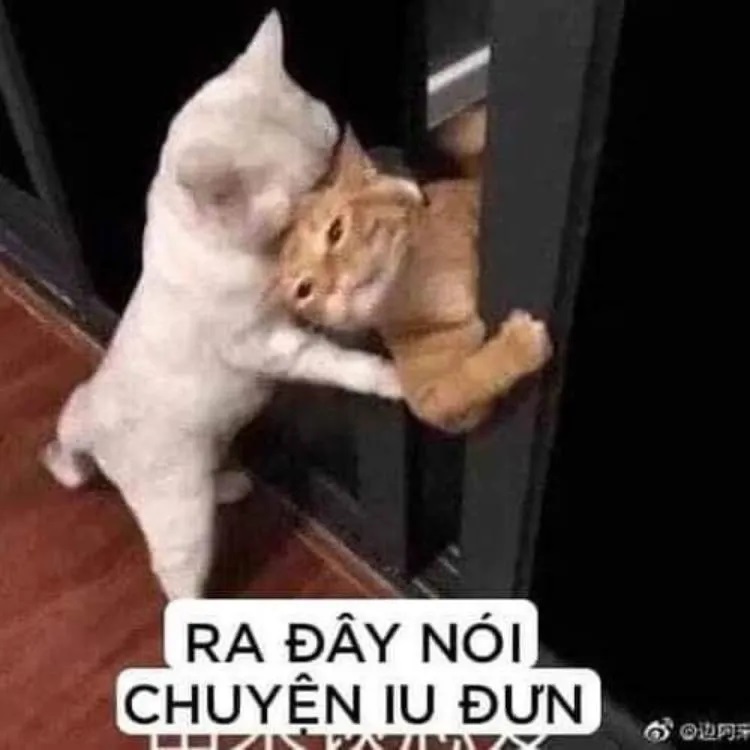 30+ meme tình yêu đẹp, cute, hài hước với biểu cảm đáng yêu