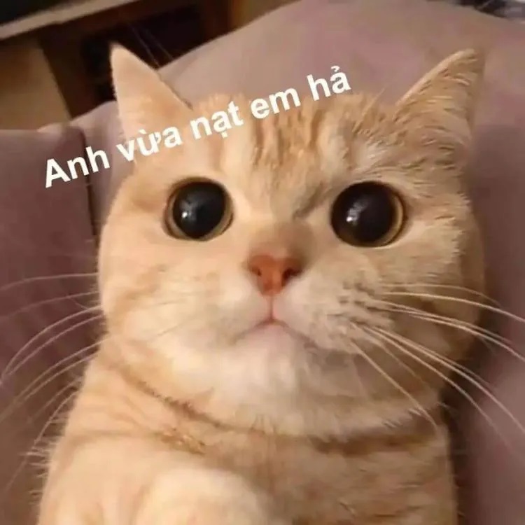 30+ meme tình yêu đẹp, cute, hài hước với biểu cảm đáng yêu