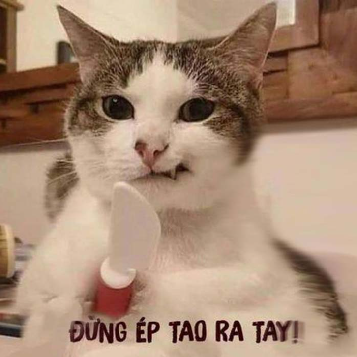 Danh sách các meme chửi hài hước và đầy độc đáo