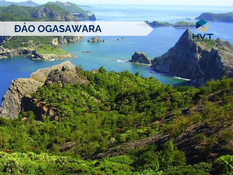 dao-ogasawara