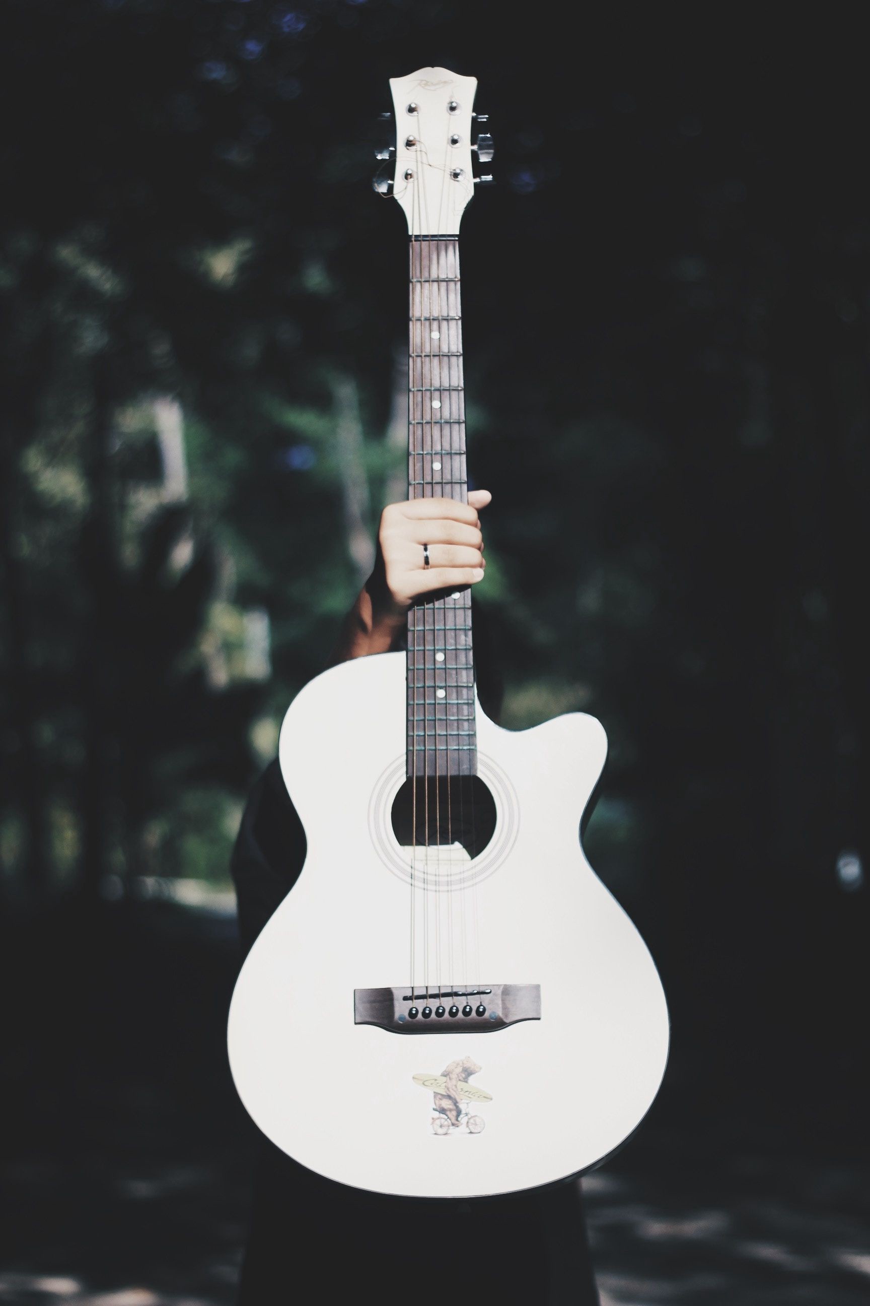 Những bức ảnh đầy cảm xúc về đàn guitar