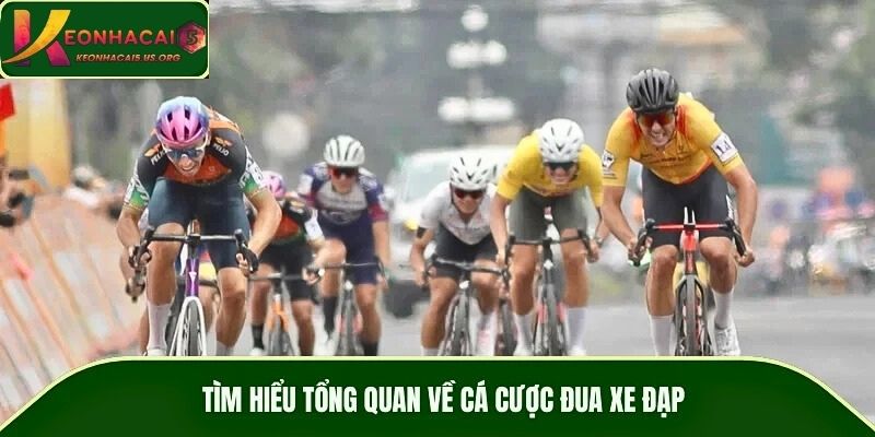 Tìm hiểu tổng quan về cá cược đua xe đạp