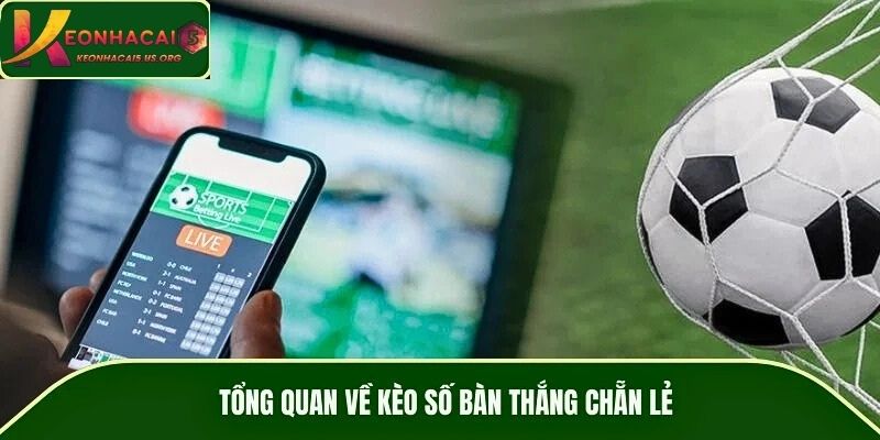 Tổng quan về kèo số bàn thắng chẵn lẻ