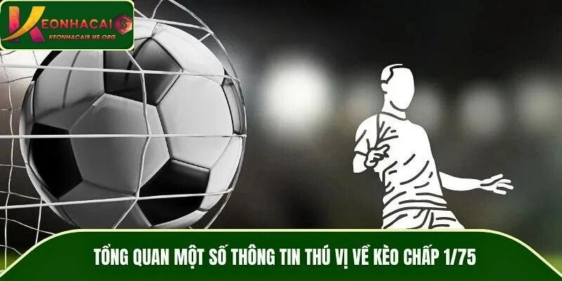 Tổng quan một số thông tin thú vị về kèo chấp 1/75